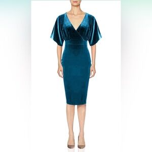 🦋 NWT! Blue Velvet Dress